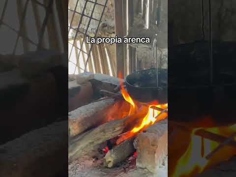 La Propia Arenca #santabarbaradepinto #costacaribe #tradiciones #colombia