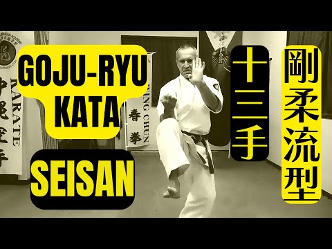 GOJU-RYU. SEISAN 剛柔流  十三手