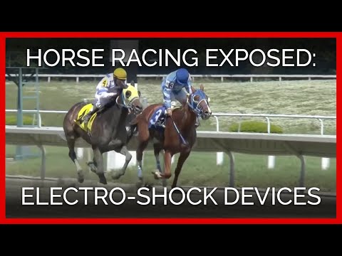 Horse Racing Exposed: Electro-Shock Devices