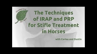 The Techniques of IRAP and PRP for Stifle Treatment in Horses