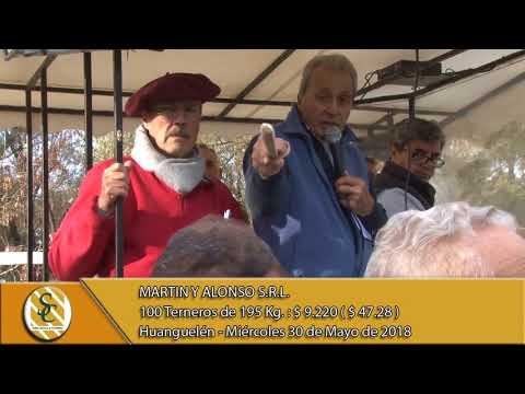 30-05-18 Venta de Machos - Martin y Alonso S.R.L. - Huanguelén