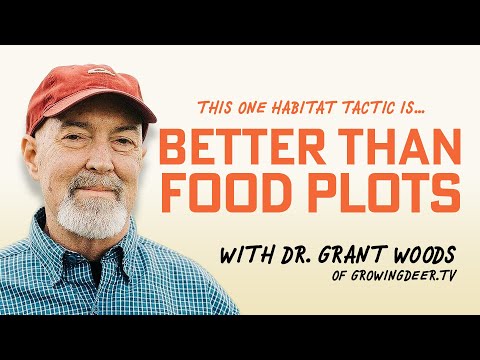 The One Deer Habitat Tactic BETTER than Food Plots with Dr. Grant Woods