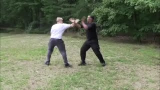 Bando Cobra Arm Parry