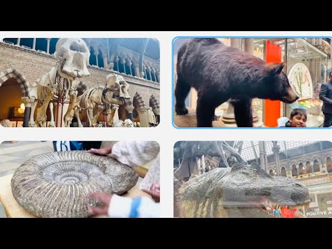 Oxford University Museum | Musium of Natural History | অক্সফোর্ড ইউনিভার্সিটির মিউজিয়াম