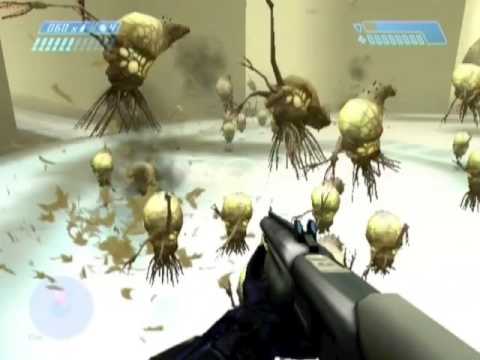 BCM200 - Spore herding, fun in a novel place