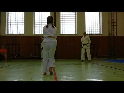 taikyoku kake uke ni