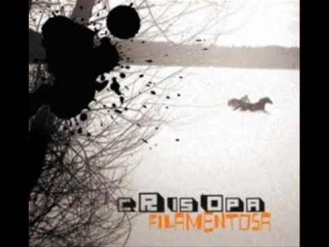 Crisopa - "Fibra De Carbono Y Cambios Automáticos"