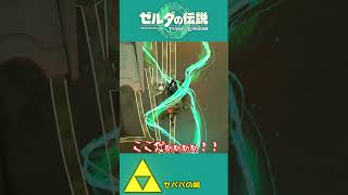 【ティアキン】能力をふんだんに使って突破せよ！？やはり上から行くに限る！！【祠攻略】＃Shorts