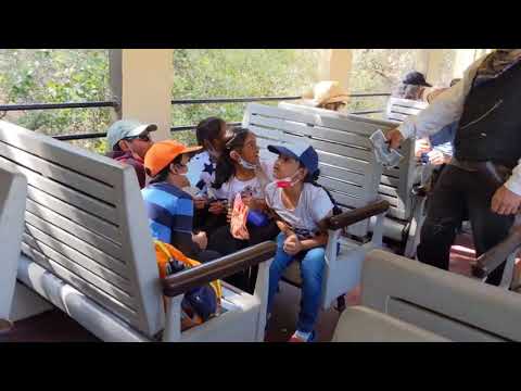 Robbery on the Rails