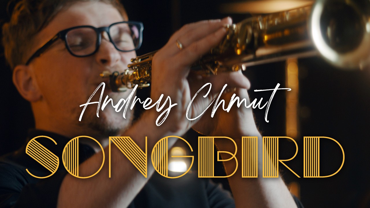 Promotional video thumbnail 4 for Andrey Chmut
