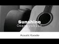 OneRepublic - Sunshine (Acoustic Karaoke)