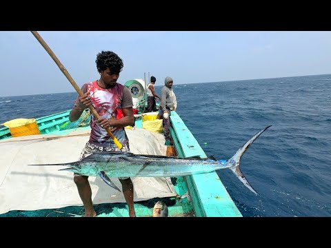 OMG❗FIRST DAY GREAT DAY 💢 FULL VIDEO CAPTURE 😱 INDIAN FISHING ADVENTURE 
