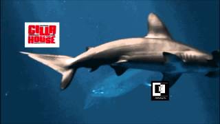 Hurrican Sandy Relief Freestyle | Redman