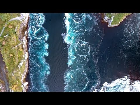 Spearfishing Norway Saltstraumen 2017