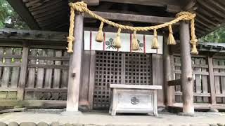 信州三大夜景★誰もが知る神社★信州★松本★諏訪★伊那★肉刺し自慢‼️焼肉宿★平家の里