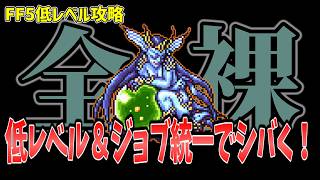 FF5 カロフィステリを低Lv+ジョブ統一でシバいてみた FINAL FANTASY V Make it all the same of job & level1 Calofisteri