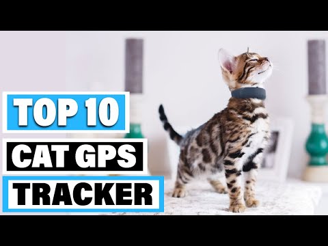 Best Cat GPS Tracker In 2021 - Top 10 Cat GPS Trackers Review