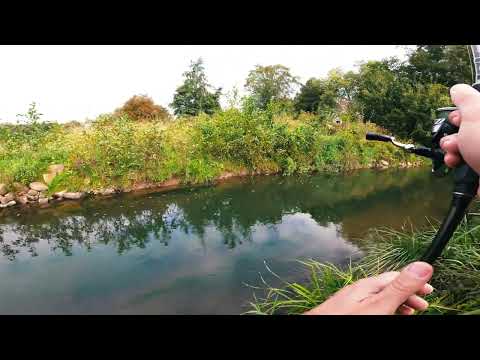 Angeln auf Forelle in der Bega (LEMGO)