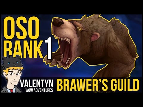 Brawler's Guild - Oso - Rank 1 - Subtlety Rogue PoV