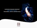 Carpentier Edwards PERIMOUNT Magna Ease Aortic Valve