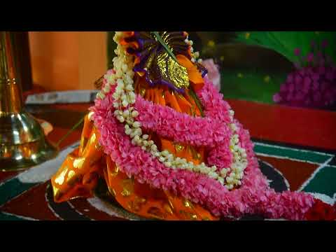 DAY 02  - Prathishtapanam #perinjakonam #thekkathu #pooja #prathishta