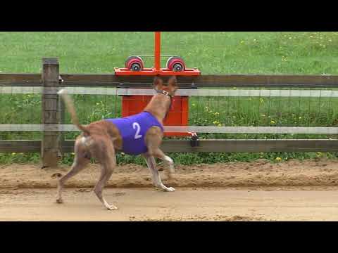 Derby Meeting 2024 -  Teil 1