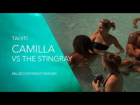 Camilla Vs The Stingray | The Blue Continent