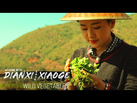 滇西小哥教我們如何覓食野菜(在家與DXXG-E5) (Dianxi Xiaoge Teaches Us How to Forage for Wild Greens (At Home With DXXG - E5))
