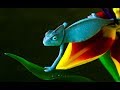 Latest Hollywood 3D ANIMATED CARTOON Full HD MOVIE 2019 In Hindi Dubbed