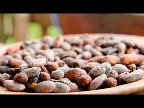 Cultural Experiences Organic Farm - Tour Video