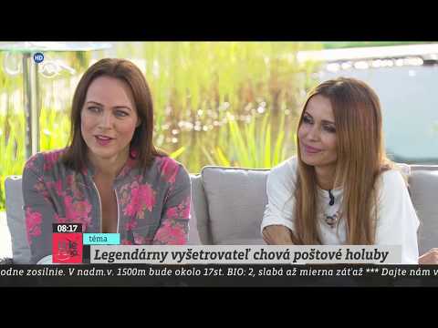 Holubár v teleráne