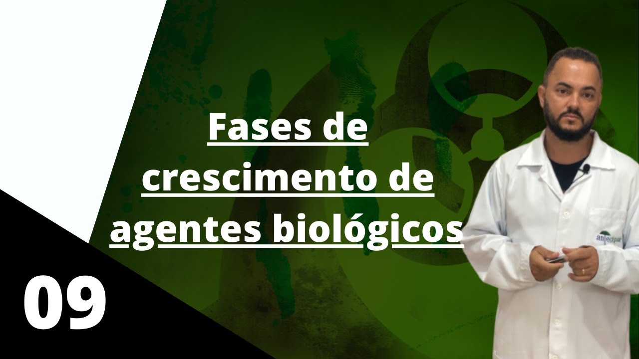 Quais são as fases de crescimento de um microrganismo? – Vídeo 09 de 10