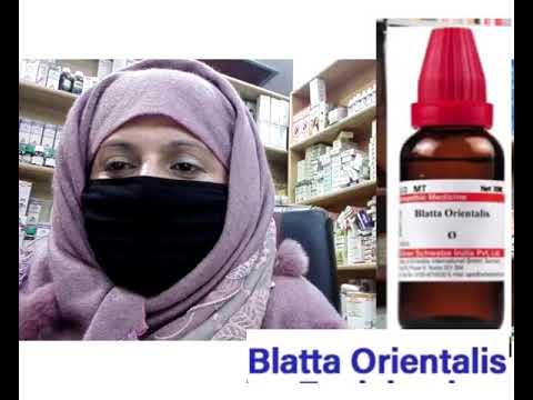 BLATTA ORIENTALIS HOMOEOPATHIC MEDICINE(Asthma problem)Dr.sadia asif.