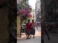 Romantic Dream With AyyoPaapamSaaru GOAT SudheerBayana Ytshorts Shorts