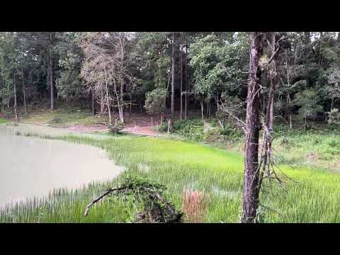 Venta de Terreno con Laguna y Rio en Erandique Lempira #Rio#Laguna