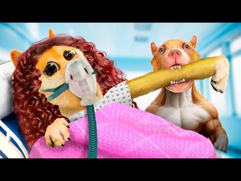 Adopté a un pitbull y pasó ESTO… 😱🐶