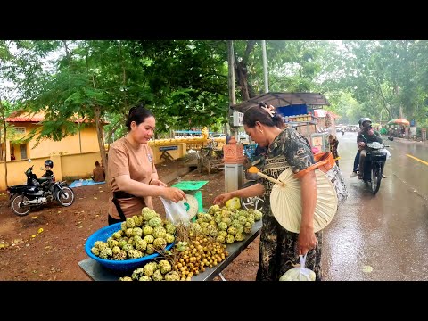Street Food Tour in The Rain, Cambodia Best Food Compilation in Countryside Market & City