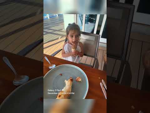 Thumbnail for sun princess  cruise