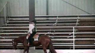 preview picture of video 'Souths Gettin Good AQHA Show in Sterling IL April 2008'