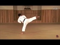 2 3 Shotokan Kata Nijushiho