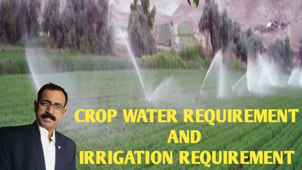 CROP WATER REQUIREMENT & IRRIGATION REQUIREMENT