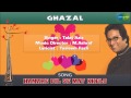 Hamare Dil Se Mat Khelo Ghazal Song Talat Aziz