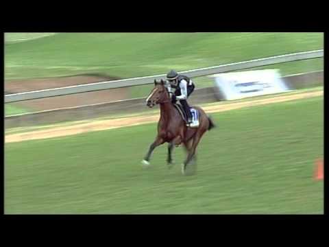 Vodacom Durban July 2013 Love Struck Gallop