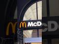 Seagull Hides In McDonald S