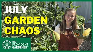 July Garden Update: Overgrown Beds, Giant Peppers & Garden Problems