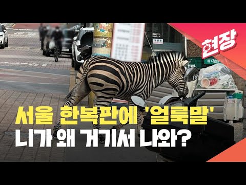 아이콘