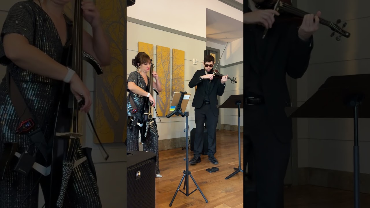 Promotional video thumbnail 2 for Cello, electro cello