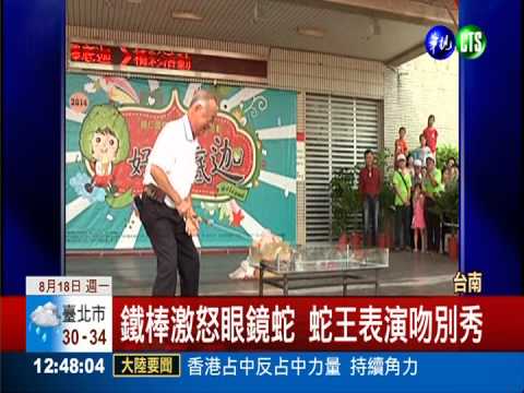 與劇毒眼鏡蛇吻別! 蛇王宣布封嘴