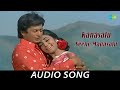 Kanasalu Neene Manasalu Audio Song Bayalu Daari Anant Nag Kalpana K S Ashwath Ashok