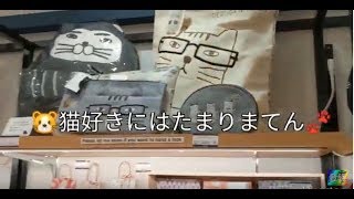 Oh my God! only cat goods here!! 🐾🐹猫だらけ🐾🎶ここはどこ❓🙀Cats Cats🐾
